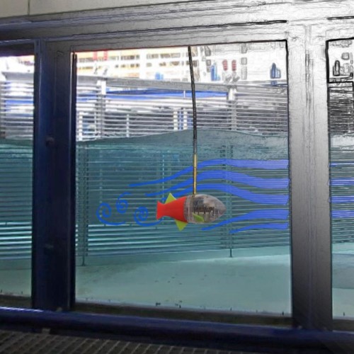 WasserJahr 2019